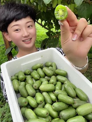这么好吃的软枣猕猴桃你确定不来一单尝尝?#软枣猕猴桃