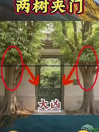 #住宅有讲究 #一本好书#值得一看的好书 #房屋优化布局