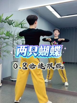 两只蝴蝶慢速跟跳