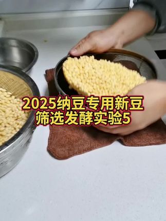 2025纳豆专用新豆筛选发酵实验5#酵乐宝纳豆机