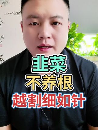 韭菜不养根,越割细如针! #三农 #农业种植 #种植技术 #增产增收