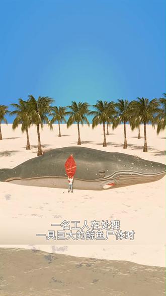 处理鲸尸有多危险?下一秒直接被困 处理鲸尸有多危险?下一秒直接被困#涨知识 #热门