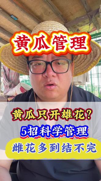 #黄瓜种植 #促雌花 #科学管理 #蔬菜卫士 #黄瓜管理 #蔬菜种植 #蔬菜管理