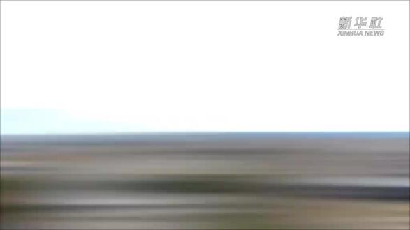 秋秋街舞!
重庆13岁的崽儿李勇秋(昵称秋秋),3月8日获得在法国巴黎举办的Juste Debout街舞世界总决赛少儿组全球冠军,看来街舞又火了。
这两天留意下,马路边,广场上有没有跳街舞的。