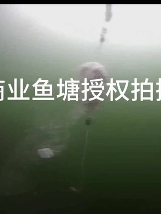 大王钓组入口性水下实拍#原来钓鱼才是抖音运动顶流
