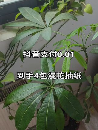 #抽纸 #生活用纸 #漫花抽纸 #超便宜超划算 #好鞋推荐