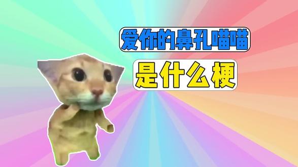 爱你的鼻孔喵喵是什么梗#爱你的鼻孔喵喵