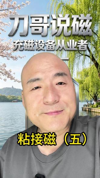 粘接磁(五)#充磁 #钕铁硼 #稀土强磁 #永磁电机 #磁路设计