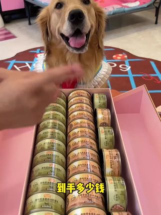 #宠物 #养宠物狗 #狗狗 #狗子成精了