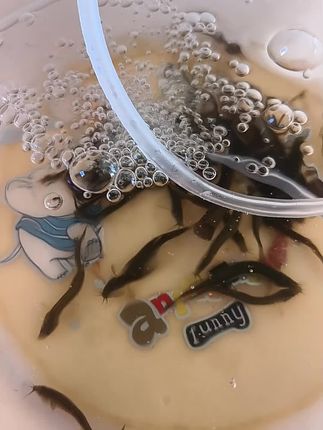 #我在抖音买买买