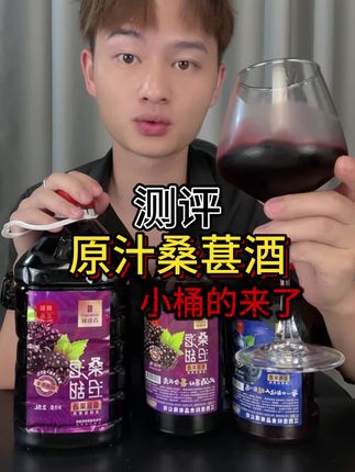 原汁桑葚酒小桶的来了 #测评 #桑葚酒 #桑葚酒的好处谁喝谁知道