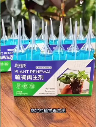 #发财树 黄叶掉叶烂根,你是不是只浇自来水了?他们是缺少营养#发财树养护 #发财树烂根 #花肥 #发财树黄叶掉叶如何补救
