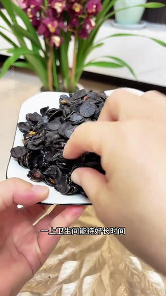 云南腊肠果当季新货腊肠树果正品无硫植物腊肠果泡水喝 #腊肠果 #腊肠果别名便秘果 #腊肠果正确泡水喝的视频 #腊肠果茶 #好物优选