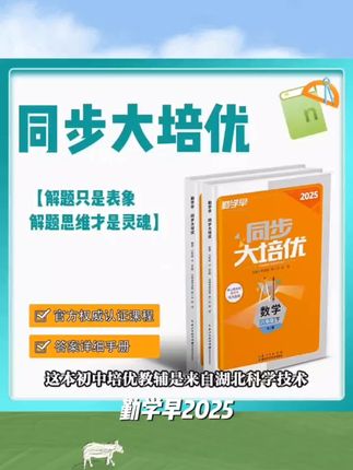 勤学早2025同步大培优数学物理化学七八九年级上下人教RJ版尖子生#无限回购单品宝藏#