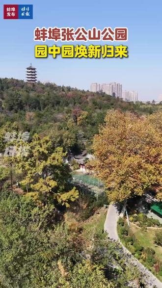 蚌埠张公山公园园中园焕新归来