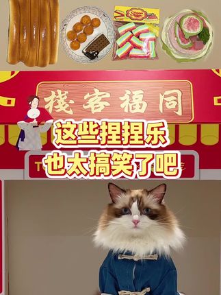 这些捏捏乐也太搞笑了吧! #万物可爱计划 #领先烘焙猫粮 #领先烘焙粮抽黄金 #做武林猫霸抽免罪金牌
