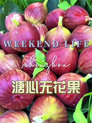 #无花果#水果#新鲜应季水果