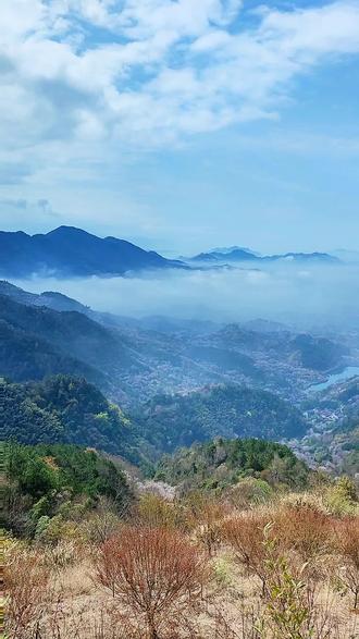 山顶看云海,乌龟岭,奉化和嵊州交界处地位,下面是嵊州#清潭坑村#满山樱花盛开#乌龟岭