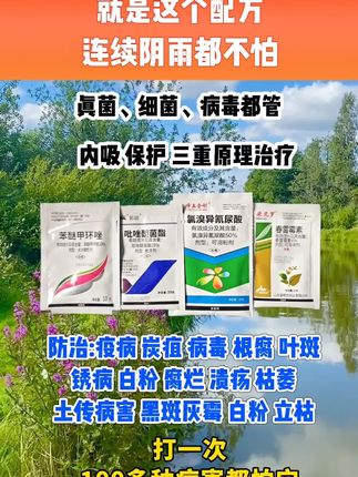 #农业种植 #三农 #新农人计划 #病虫害防治 #种植技术
