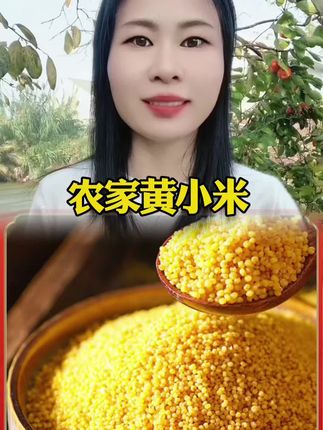 #黄小米 #小米 #农家黄小米 #优质农产品 #好吃不贵经济实惠