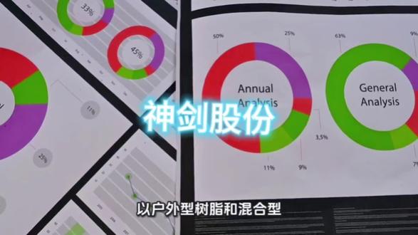 一天一家公司之神剑股份#金融常识