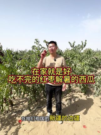 在家的日子就是好,吃不完的红枣解暑的西瓜,朋友们快来找我玩!#新疆特产 #红枣 #枣园 #昆玉礼物 #自家果园