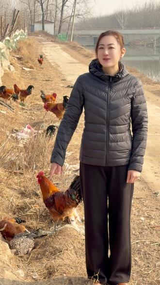 别总盯着老母鸡,冬天吃公鸡也是一绝#三农 #三农流量扶持计划 #散养土鸡 #养鸡 #农村养殖