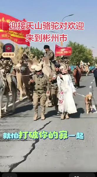 欢迎天山骆驼对来到彬州市,我在亭口等待到来…