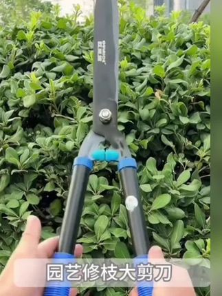 园林大剪刀#园林工具 #高性能实用工具 #非常方便实用  #实用工具 #修枝剪