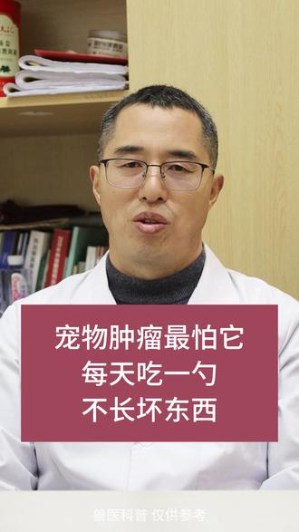 宠物肿瘤最怕它,每天吃一勺,不长坏东西 #狗狗肿瘤 #中兽医 #宠物医生