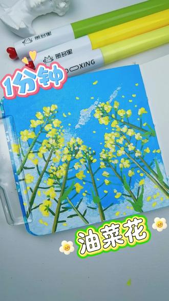 1分钟画油菜花,丙烯马克笔速涂教程
#真实生活分享计划 #画画 #跟着抖音学画画 #春天的色彩 #丙烯马克笔