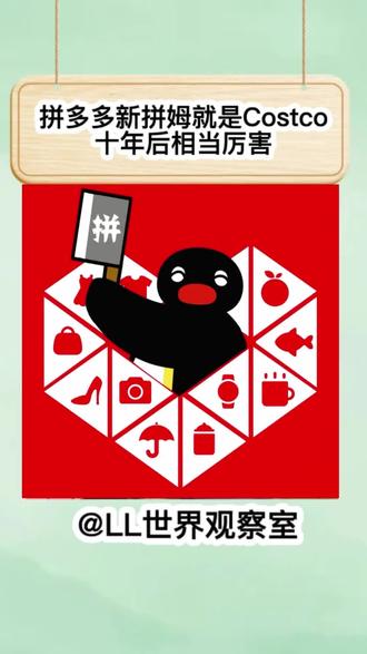 段永平:拼多多新拼姆就是Costco,十年后相当厉害 #拼多多 #costco #电商 #网购#新拼姆