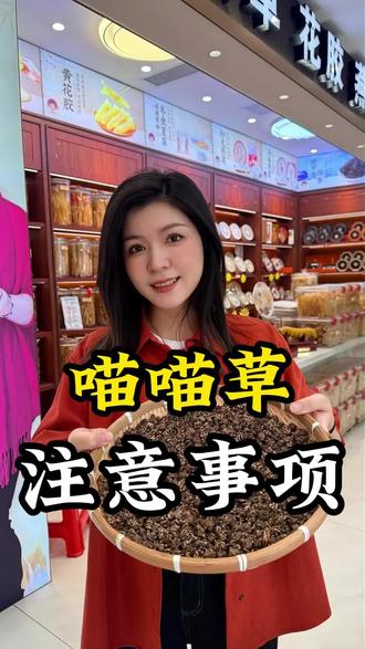 喵喵草怎么选 #芬姐精选