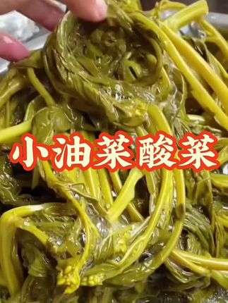 贵州特产小油菜酸菜! 选用贵州农家小油菜,传统工艺腌制,脆嫩爽口,怎么吃都嘎嘎美味下饭!#酸菜 #地方特色美食 #好吃到停不下来 #抖音美食推荐官 #抖音助农