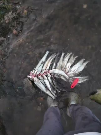 献给孩子的童诗集🔥。治愈人心又充满想象力的童诗,于睡前温暖的灯光下陪伴孩子一起读一读,随便一句写进作文里,都是锦上添花,作文想不拿高分都难~#作文素材 #好书分享 #让阅读成为一种习惯 #童诗 #图文热点来了