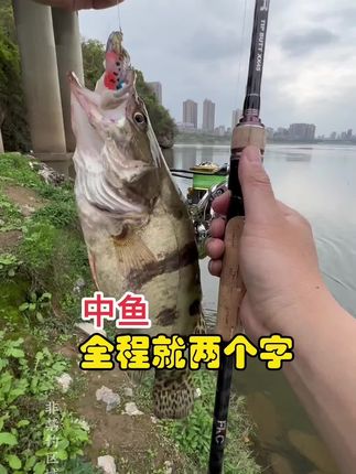 #路亚野钓