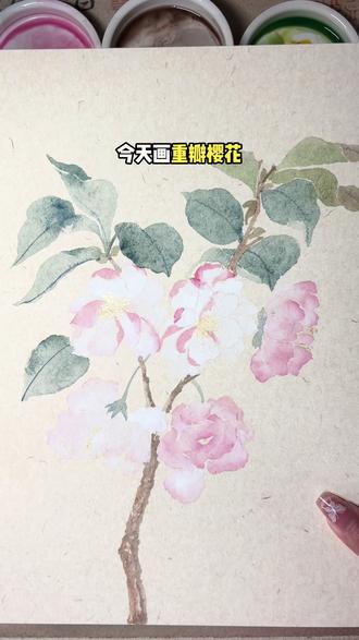 自学没骨画教程1⃣️1⃣️樱花|详细步骤 #没骨画 #国画花鸟 #樱花 #画画教程 #画画使我快乐