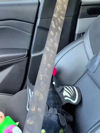 【普路驰】汽车泡沫清洁剂内饰清洗剂车用家用免洗清洁内饰去污除垢#清洁内饰好物 #汽车清洁剂 #清洁好物