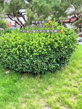 #儿童衣架#宝宝衣架#衣架#母婴好物 #好东西一起分享