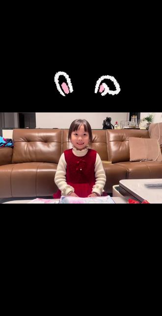 第二期 贴纸手帐 主题 兔子系列