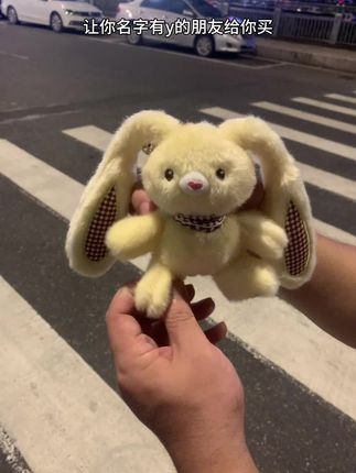 好朋友,送我这只超可爱的格子拉耳兔,谢谢 #惊喜#礼物 #毛绒公仔#呆萌可爱#阔爱炸了