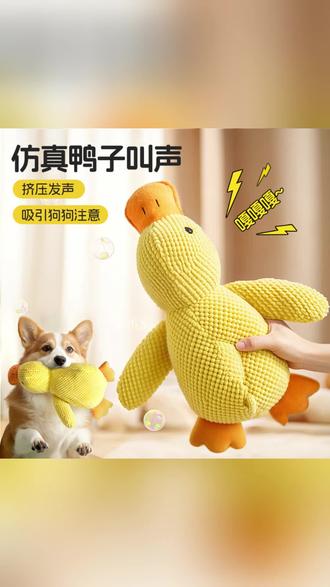 发声陪睡鸭 一捏就叫,狗狗爱不释口! #宠物 #狗狗解闷神器 #会叫的鸭子 #耐咬 #萌宠日常