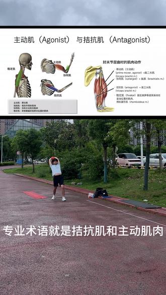 实心球 一节课从8米2到9米2的变化,掌握好实习球的技巧,你也可以拿高分,实习球也是很推荐的项目,特别是女生,掌握好技巧发力,轻松拿高分#实心球满分技巧#中考体育#中考体育训练#中考体育项目怎么选#中考实心球