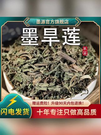 旱莲草墨旱莲新鲜早旱连草非野生粉的搭何首乌女贞子和桑叶#墨旱莲 #旱莲草 #墨旱莲草 #女贞子墨旱莲
