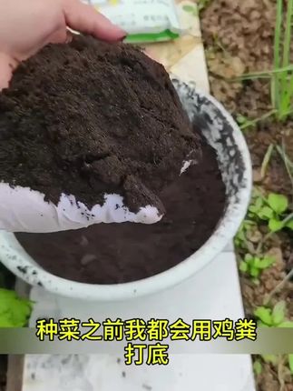 家用鸡粪发酵有机肥种菜羊粪果树无菌不生虫鸡粪肥花卉纯鸡粪蔬菜用有机肥料#鸡粪肥