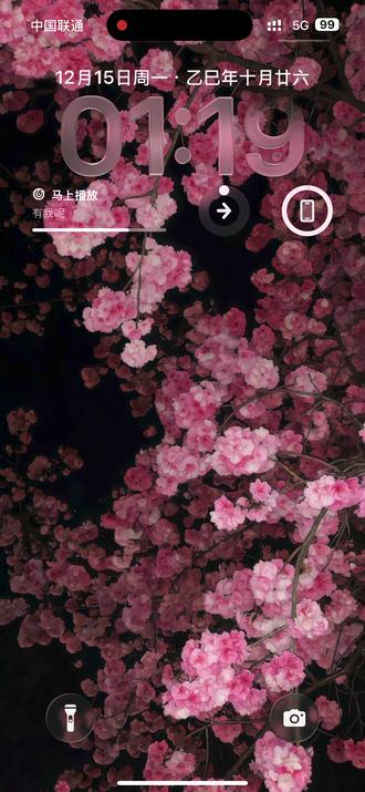 15promax勇闯ios26.2#毋庸置疑