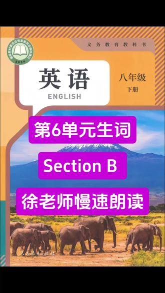 徐老师带你背单词人教八下第六单元 人教版英语八下第六单元生词Section B 部分徐老师慢速朗读#人教版英语#零基础英语#每天进步一点点#八年级英语下册
