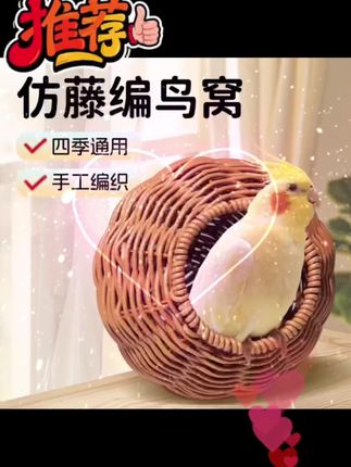 鹦鹉们的“空调房”也太舒服了吧!#宠物生活  #养鸟技巧 #鹦鹉鸟窝 @我要上热门