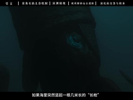 5亿年前的海里,为什么会漂着一根“活着的长枪”? #房角石 #远古生物 #远古巨兽