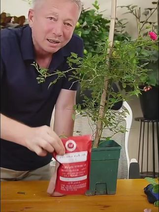 #家庭种植 #家庭养花 #每日分享 #强烈推荐 #养花小知识